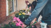 Gardening in Small Spaces Maximizing Urban Greenery