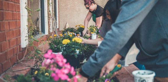 Gardening in Small Spaces Maximizing Urban Greenery