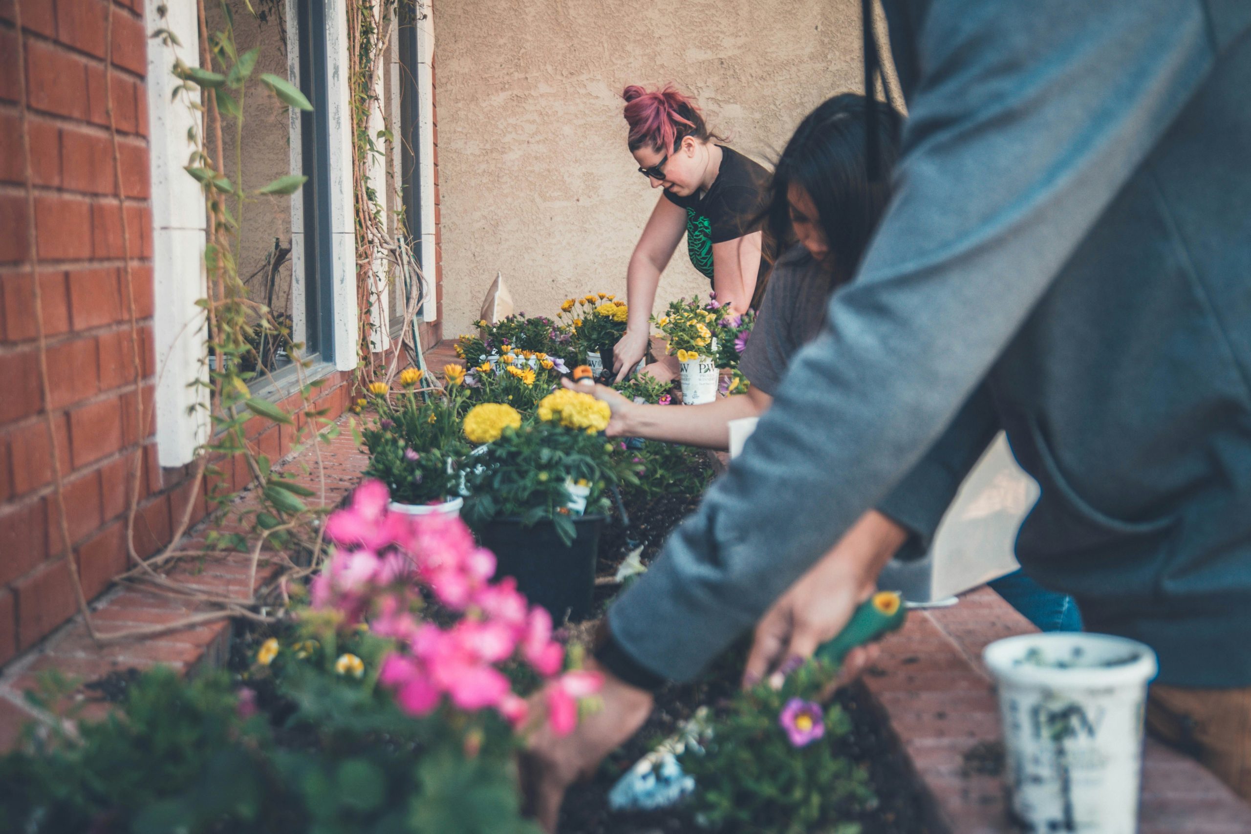 Gardening in Small Spaces and Maximizing Urban Greenery